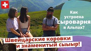 Как устроена сыроварня в Швейцарских Альпах // Sennerei und Alpbetrieb auf der Alp Tamons