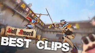HalfSword's Best PoleHammer Player ( BEST CLIPS )