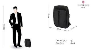 Сумка-рюкзак Victorinox Travel TRAVEL ACCESSORIES 4.0/Black Vt311746.01