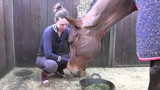 Alice & Fab's diary - time for Tubby bye-bye! | Video Diary | Horse & Hound