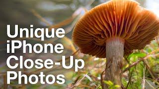 iPhone Close-Up Photography Secrets – iPhone Landscape Mastery