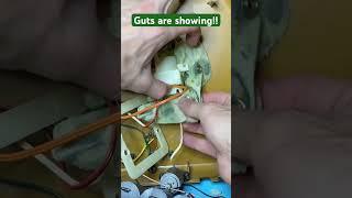 How to fix your singing fish  #billybass #repair  #fishguy guts!!!