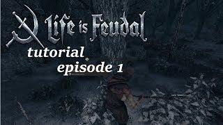 life is feudal your own tutorial/ beginning with the basics / episode 1