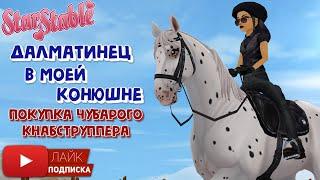 Далматинец в моей конюшне | Покупка чубарого Кнабструппера в Star Stable Online | Игра про лошадей