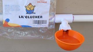 LIL Clucker Chicken watering system. How to install it and what is in it.