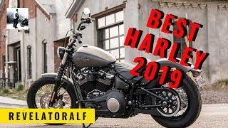 Which Is Best Harley Davidson 2019 - What’s Best H-D Bike - RevelatorAlf