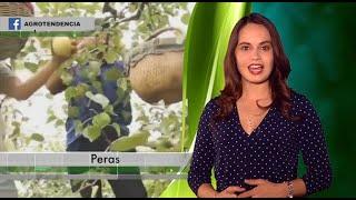 Agronoticias Siete Adriana nos responde todo