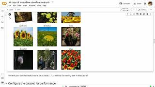 Practical AI 016b: Image Classification Notebook with TensorFlow