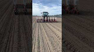 #johndeere #corn #greenday #nz #sweetcorn #2024 #crops #farm #planting #seed #farmlife #cornrows