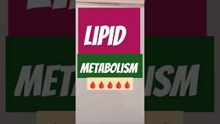 metabolism of lipids #lipid #lipids #metabolism #biochemistry #shorts #fattyacids #fattyacid #liver