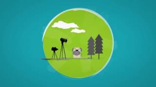 Video Process