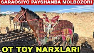 SARAOSIYO PAYSHANBA MOLBOZORI OTLAR NARXLARI