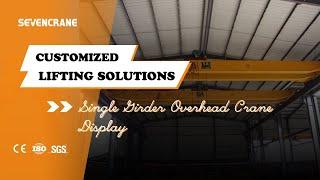 Single Girder Overhead Crane Display - SEVENCRANE