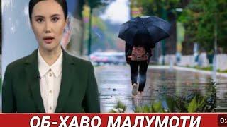 10-11-12-СЕНТЯАБРЬ КУНЛАРИ КУЧЛИ ЁМҒИР ЁҒИШИ КУТИЛМОҚДА, ОБ ХАВО МАЛУМОТИ.