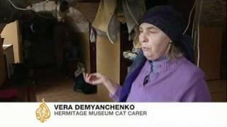 Cats fight rats at Russian museum