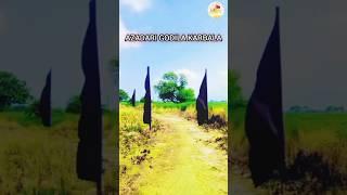 ALAMBARDAR AATA HAI AZADARI GODILA #alam #karbala #live #azadarinetwork #short #shorts