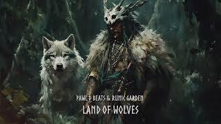 Viking Music - Land of Wolves