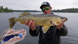 Catching Big Walleye on Crawfish Lures