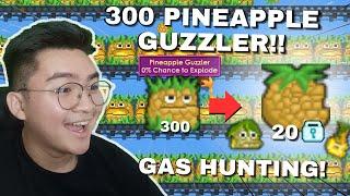 GACHA 300 PINEAPPLE GUZZLER! Hunting Hadiah Terbaik Pineapple Guardian~! | Growtopia 2024