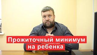 Прожиточный минимум на ребенка в процедуре банкротства