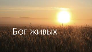 Бог живых. 1 Петра 4:4-7 [3/303]