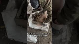 #чистка