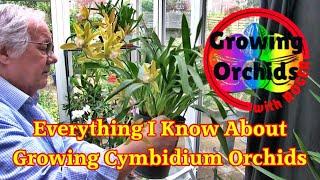 Growing Cymbidium Orchids