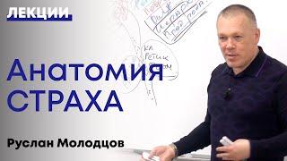 Как преодолеть страх и избавиться от тревоги. Подробный разбор.