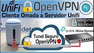 OpenVPN entre UNIFI y Omada como cliente. No podría ser más sencillo - UDM - Dream Router