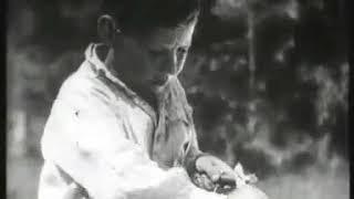 polesskie robinzony 1934 god trailer