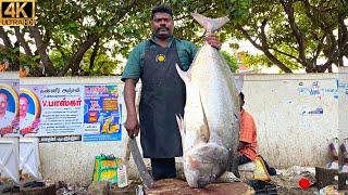 KASIMEDU  SPEED SELVAM | 30 KG GIANT TREVALLY FISH CUTTING | IN KASIMEDU | 4K VIDEO | FF CUTTING