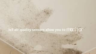 AllioT Damp & Mould NB-IoT Solutions