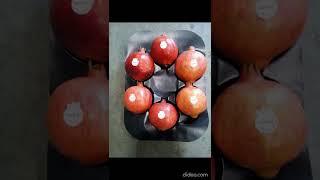 pomo trays | Pomegranate Tray Plastic Liners