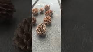 #Short #Ranu J. #youtubeshorts #trending #viral #Beautiful #good