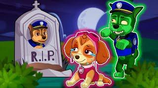 OMG! Why CHASE Turned Into Zombie? Please Don't Cry SKYE | So Sad Story | PAW Patrol Ultimate Rescue