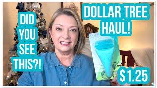 DOLLAR TREE HAUL | Did You See This | FABULOUS FINDS | DT NEVER DISAPPOINTS#haul #dollartree