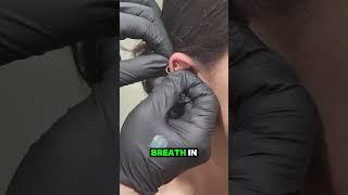 Double Helix Piercing by Brandon at Hermosa Ink Collective