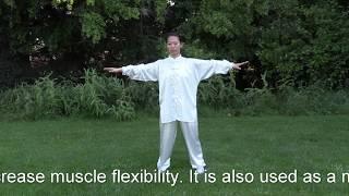 Yi Jin Jing FULL 12 Form Qi Gong