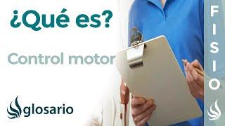 CONTROL MOTOR | Qué es, principios, función, en qué patologías se altera y cómo se recupera