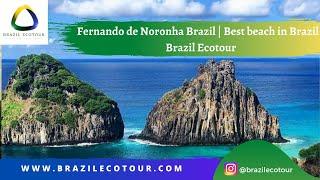 Fernando de Noronha Brazil | Best beach in Brazil | Brazil Ecotour