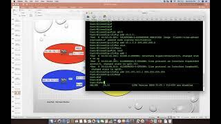 MPLS Intra-AS L3 VPN on Cisco IOS & IOS-XR