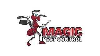 Pest Control | Magic Pest Control