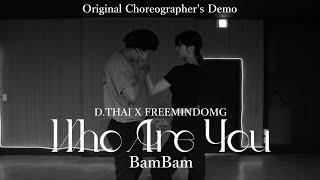 [FreeMind] 뱀뱀(BamBam) - Who Are You (Feat. 슬기 of Red Velvet) (Original Choreographer's Demo)