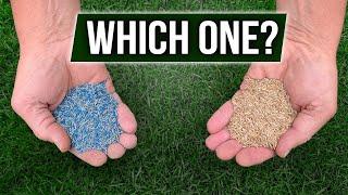 Coated Seed Vs Uncoated Seed - Which One Should You Choose?