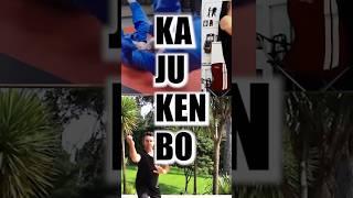 Kajukenbo | The Most Brutal Mixed Martial Art #shorts #martialarts #kajukenbo