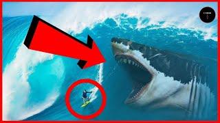 These Giant Sharks Are The Biggest You've Never Seen!