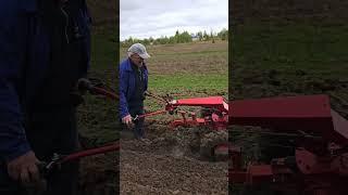 Большие объёмы работы. Мотоблок МТЗ #агротехнологии #farming #agriculture
