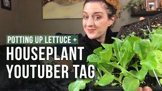 Houseplant YouTuber Tag | Repot With Me