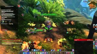 Фарм соратников для гарнизона WoW Warlords of Draenor, На'Шра, Тормок, Леорадж