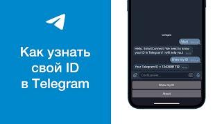 Как узнать свой ID в Telegram